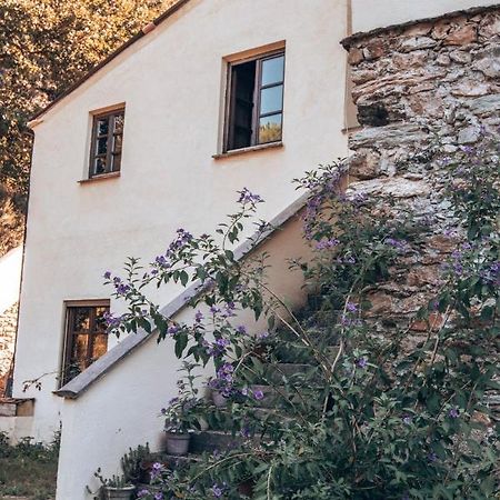 Le Petit Chateau Vezzi Portio Zewnętrze zdjęcie